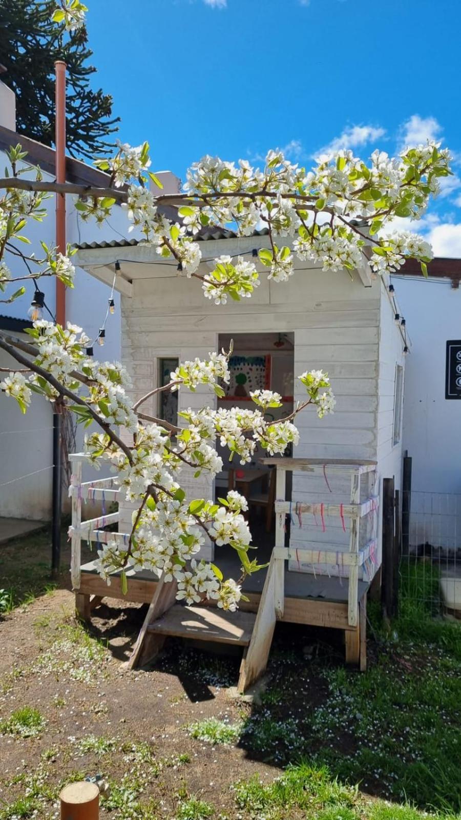 Hol Gok Patagonia Apartment เอสเกล ภายนอก รูปภาพ